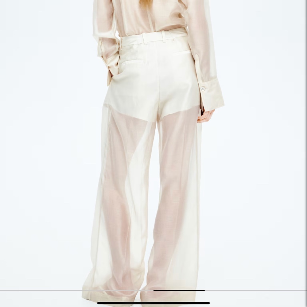 H&M wide leg sheer pants